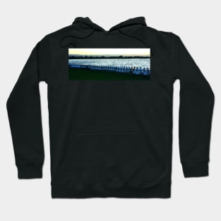 Surfboards resting. Shoreline Park, Mountain View, California 2009 Hoodie